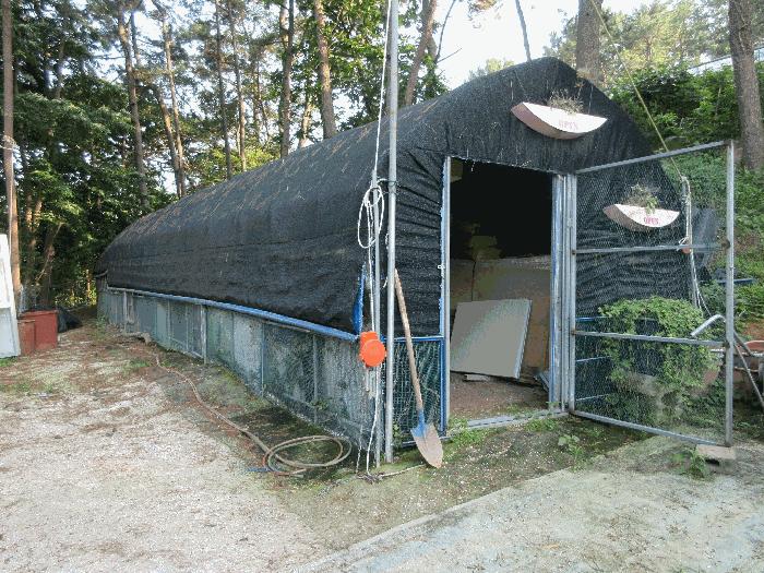 경상남도 통영시 용남면 동달리 155 전 경매 사진 20