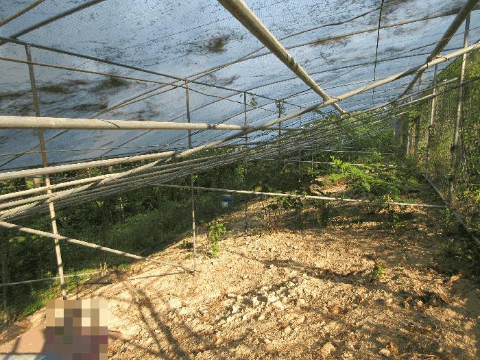 경상남도 통영시 용남면 동달리 155 전 경매 사진 41