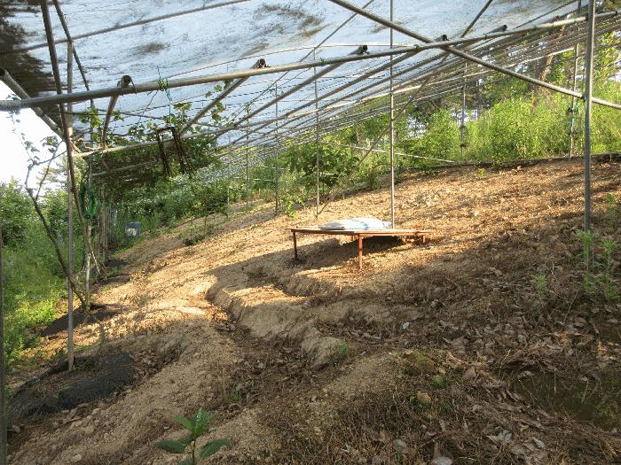 경상남도 통영시 용남면 동달리 155 전 경매 사진 43