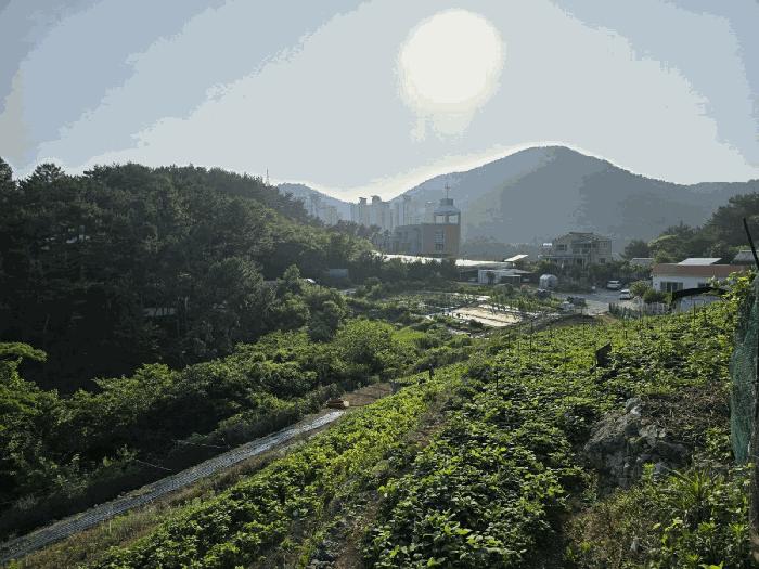 경상남도 통영시 용남면 동달리 155 전 경매 사진 45