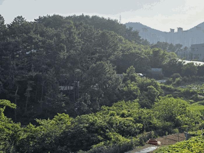 경상남도 통영시 용남면 동달리 155 전 경매 사진 5