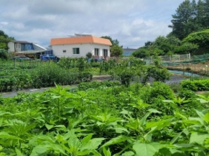 경상남도 통영시 용남면 동달리 155 전 경매 사진 50