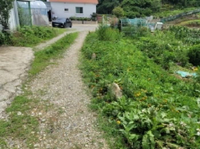 경상남도 통영시 용남면 동달리 155 전 경매 사진 54