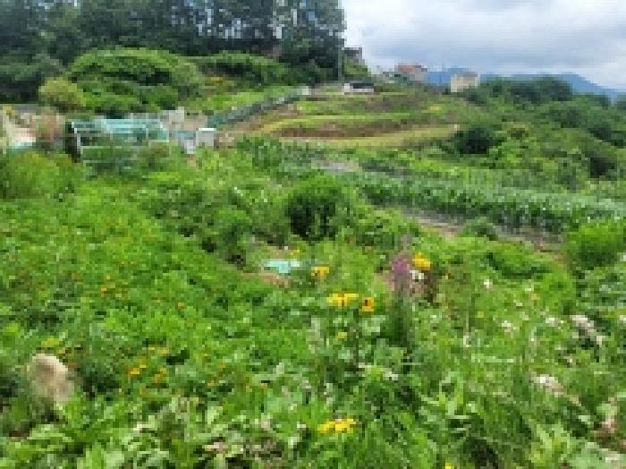 경상남도 통영시 용남면 동달리 155 전 경매 사진 55