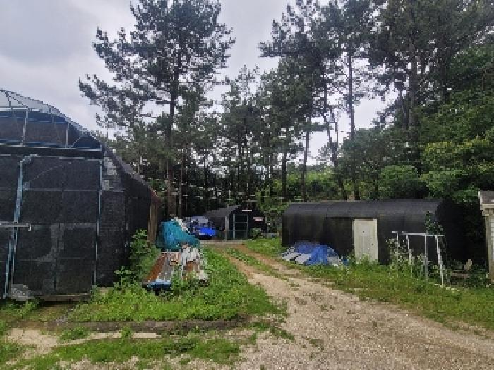 경상남도 통영시 용남면 동달리 155 전 경매 사진 59