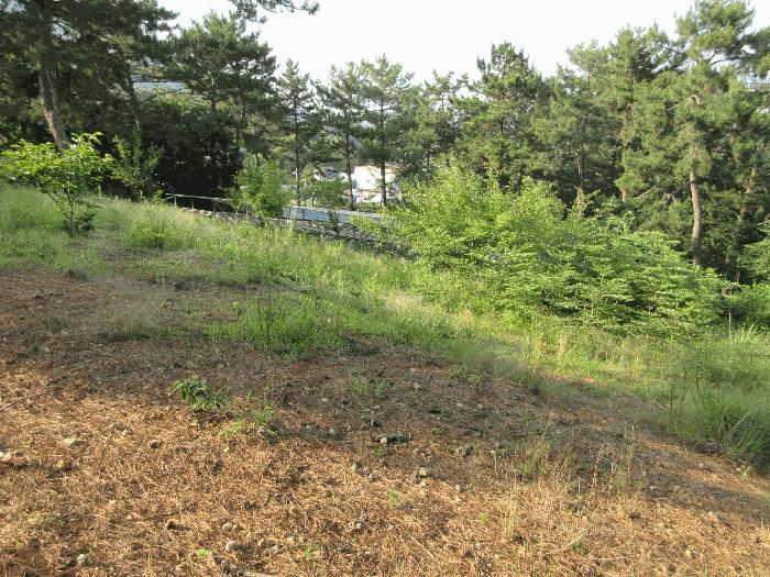 경상남도 통영시 용남면 동달리 155 전 경매 사진 7