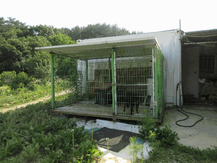 경상남도 통영시 용남면 동달리 155 전 경매 사진 8