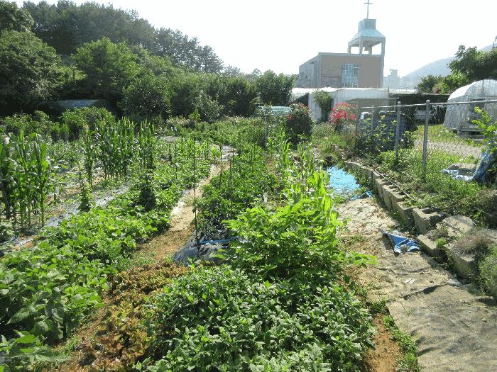경상남도 통영시 용남면 동달리 155 전 경매 사진 9