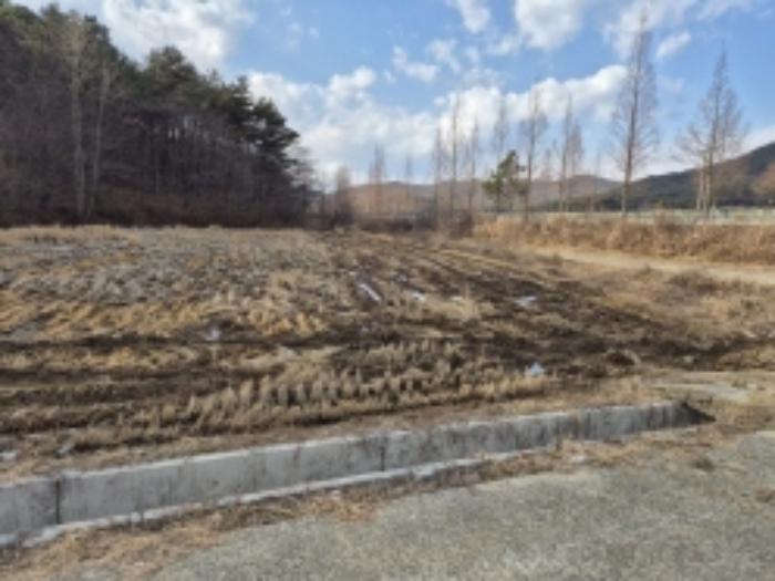 경상남도 고성군 상리면 자은리 456-2 답 경매 사진 6