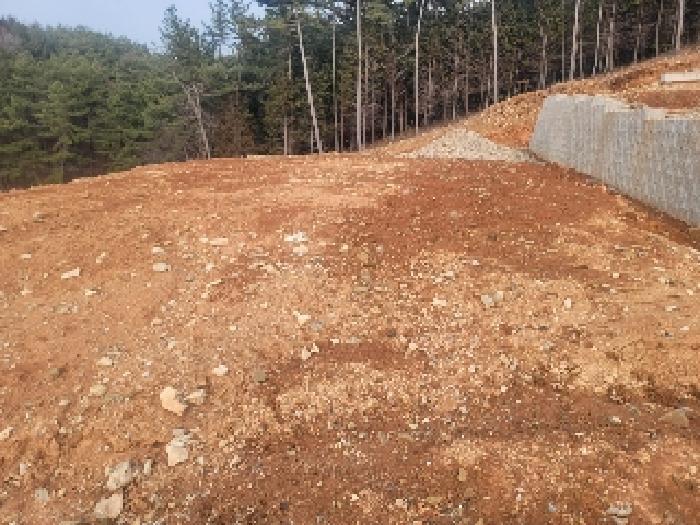 경상남도 통영시 미수동 산44-2 임야 경매 사진 12