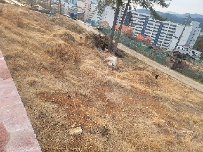 경상남도 통영시 미수동 산44-2 임야 경매 사진 14