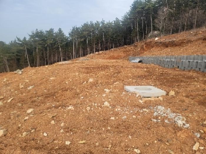 경상남도 통영시 미수동 산44-2 임야 경매 사진 17