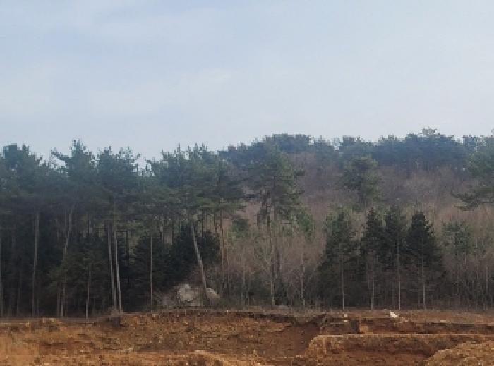 경상남도 통영시 미수동 산44-2 임야 경매 사진 4