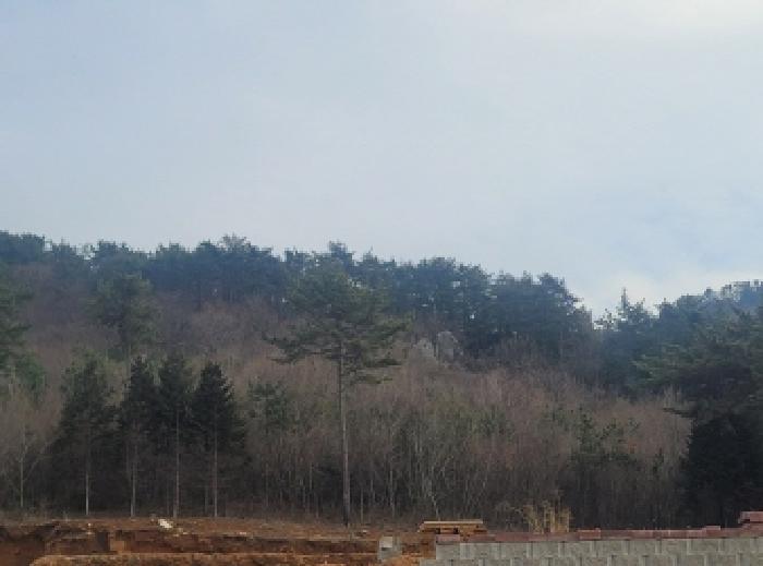경상남도 통영시 미수동 산44-2 임야 경매 사진 5