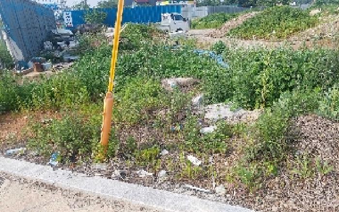 충청남도 천안시 서북구 성환읍 성월리 217-38 과수원 경매 사진 14