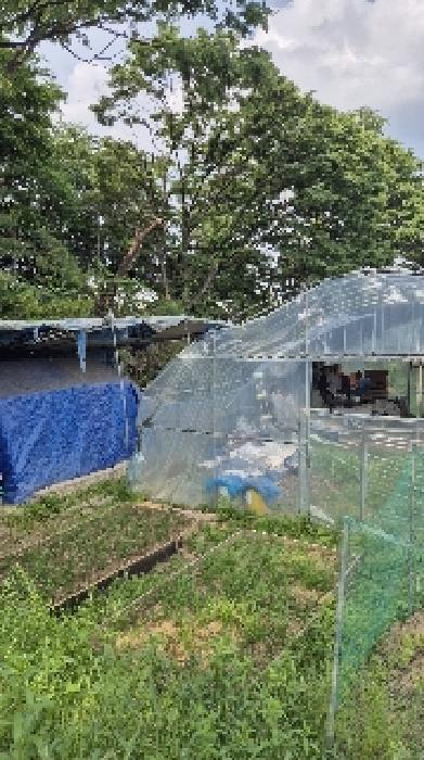 서울특별시 강남구 자곡동 215 답 경매 사진 13