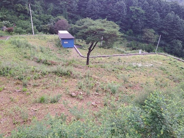 경기도 가평군 설악면 회곡리 471-8 임야 경매 사진 10