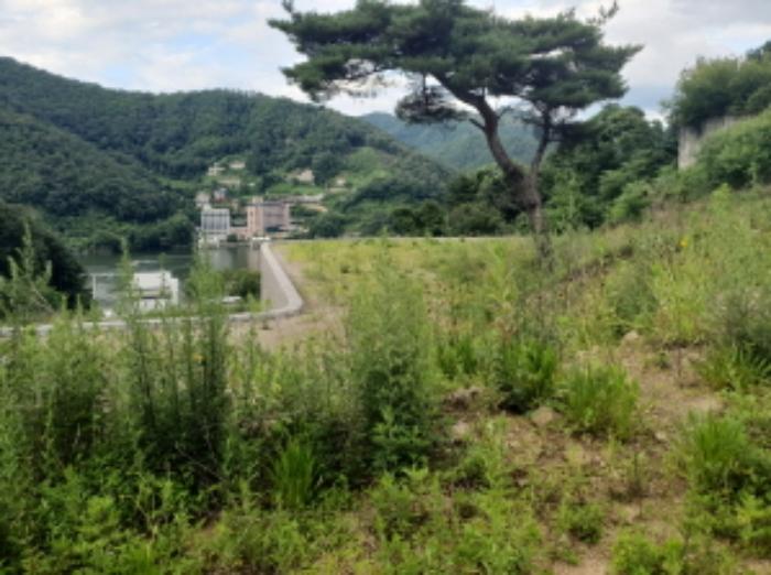 경기도 가평군 설악면 회곡리 471-8 임야 경매 사진 20