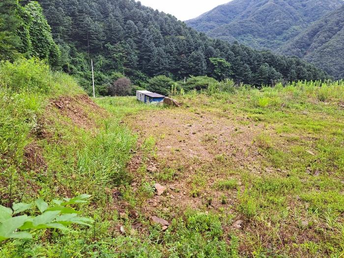 경기도 가평군 설악면 회곡리 471-8 임야 경매 사진 5