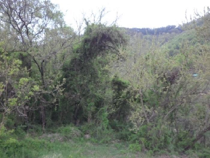 대구광역시 달성군 구지면 수리리 266 답 경매 사진 18