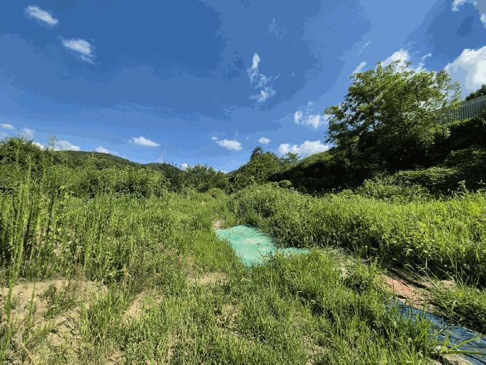 대구광역시 달성군 논공읍 노이리 700 전 경매 사진 5