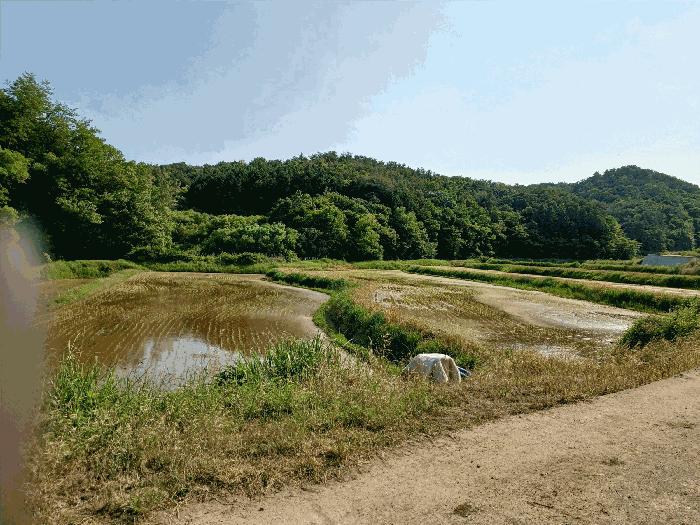 경상북도 경주시 임야