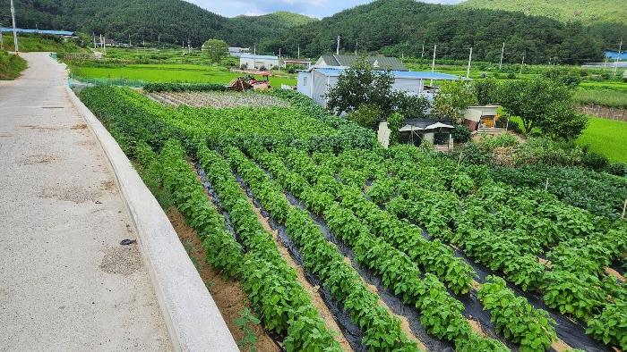 경상북도 구미시 원남로 12-13, 제106동 제3층 제301호 (남통동,금오청구타운)구) 경상북도 구미시 남통동 4-5 아파트 경매 사진 11
