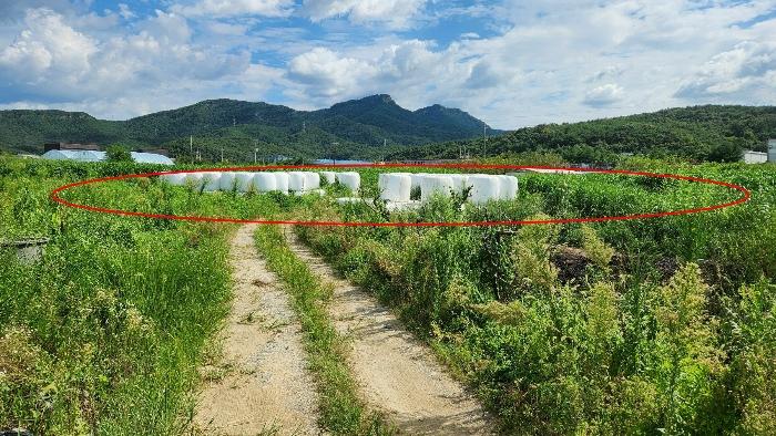 경상북도 구미시 원남로 12-13, 제106동 제3층 제301호 (남통동,금오청구타운)구) 경상북도 구미시 남통동 4-5 아파트 경매 사진 12