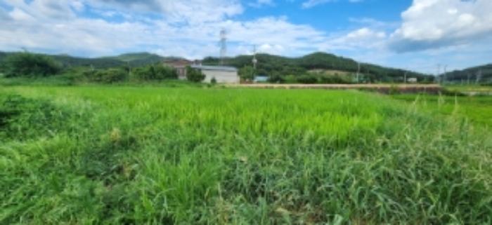 경상북도 구미시 원남로 12-13, 제106동 제3층 제301호 (남통동,금오청구타운)구) 경상북도 구미시 남통동 4-5 아파트 경매 사진 19