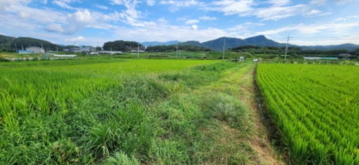 경상북도 구미시 원남로 12-13, 제106동 제3층 제301호 (남통동,금오청구타운)구) 경상북도 구미시 남통동 4-5 아파트 경매 사진 20