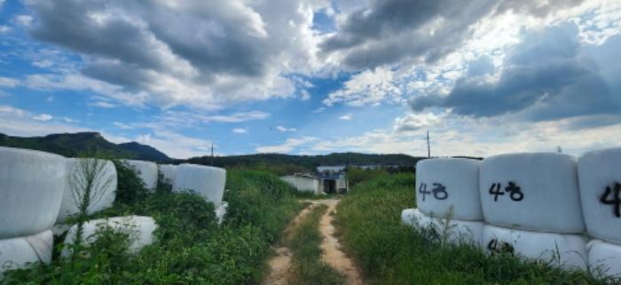 경상북도 구미시 원남로 12-13, 제106동 제3층 제301호 (남통동,금오청구타운)구) 경상북도 구미시 남통동 4-5 아파트 경매 사진 23