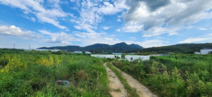 경상북도 구미시 원남로 12-13, 제106동 제3층 제301호 (남통동,금오청구타운)구) 경상북도 구미시 남통동 4-5 아파트 경매 사진 26
