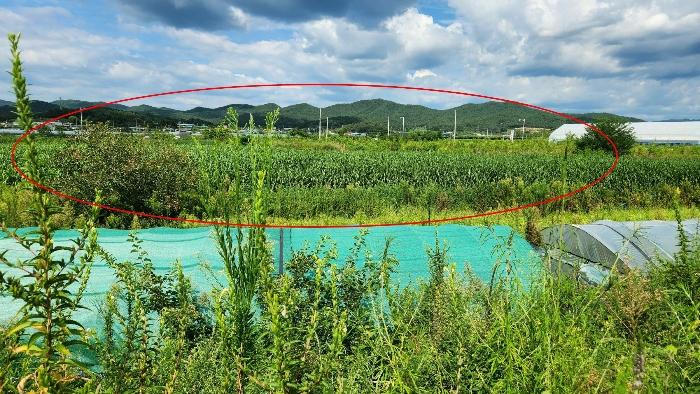 경상북도 구미시 원남로 12-13, 제106동 제3층 제301호 (남통동,금오청구타운)구) 경상북도 구미시 남통동 4-5 아파트 경매 사진 5