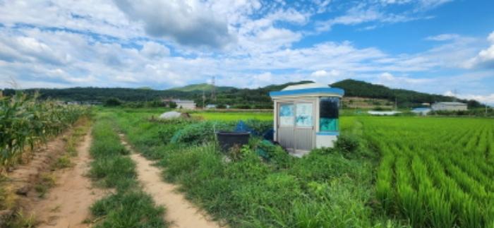 경상북도 구미시 산동읍 봉산리 233 과수원 경매 사진 18