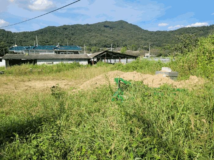 경상북도 성주군 성주읍 대흥리 652 전 경매 사진 10