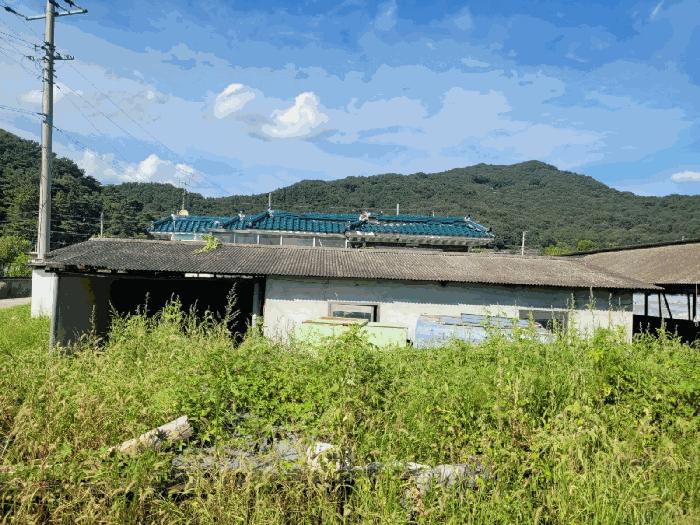 경상북도 성주군 성주읍 대흥리 652 전 경매 사진 12