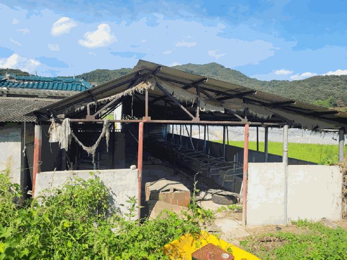경상북도 성주군 월항면 대산리 167-1 전 경매 사진 4