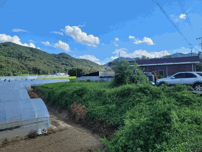경상북도 성주군 월항면 대산리 167 주택 경매 사진 24