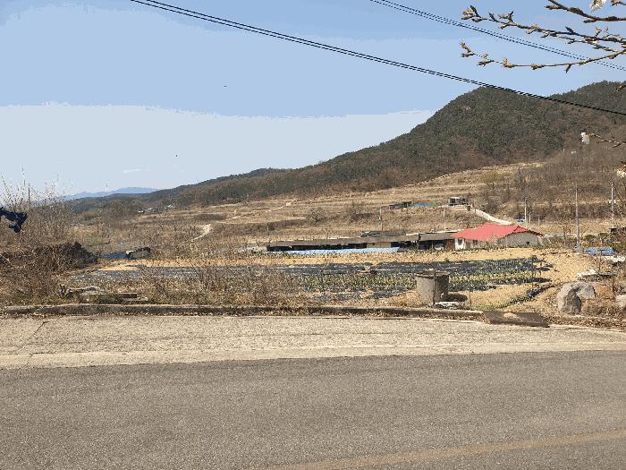 경상북도 구미시 해평면 도문리 65-2 임야 경매 사진 1