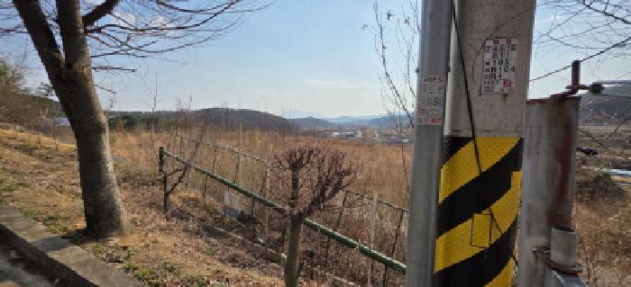 경상북도 구미시 해평면 도문리 65-2 임야 경매 사진 11
