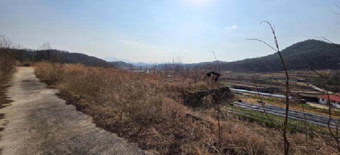 경상북도 구미시 해평면 도문리 65-2 임야 경매 사진 12