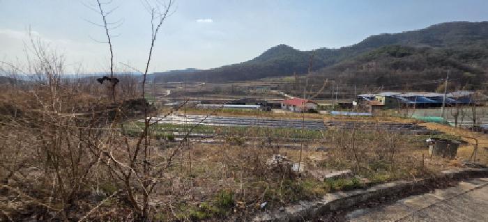 경상북도 구미시 해평면 도문리 65-2 임야 경매 사진 9
