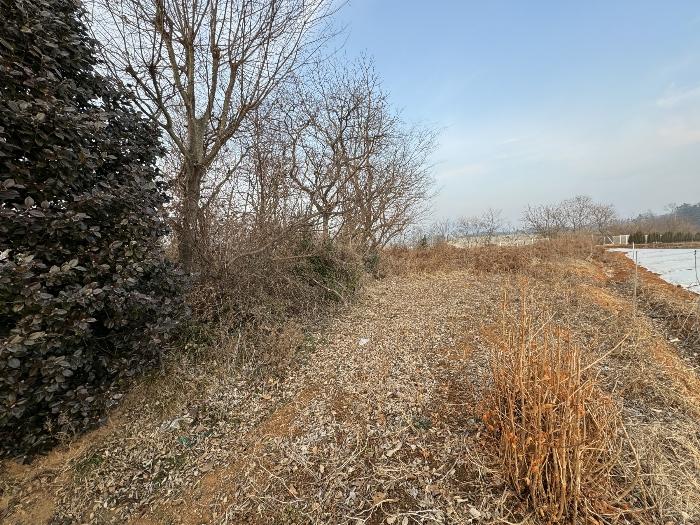 충청남도 서산시 부석면 칠전리 6-5 전 경매 사진 1
