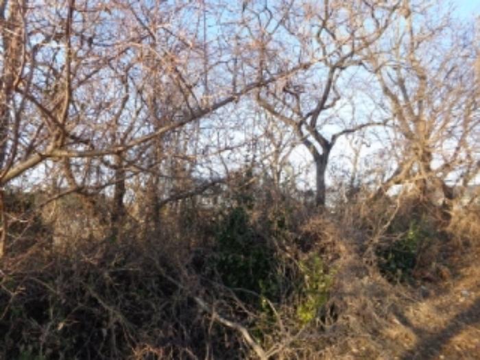 충청남도 서산시 부석면 칠전리 6-5 전 경매 사진 10