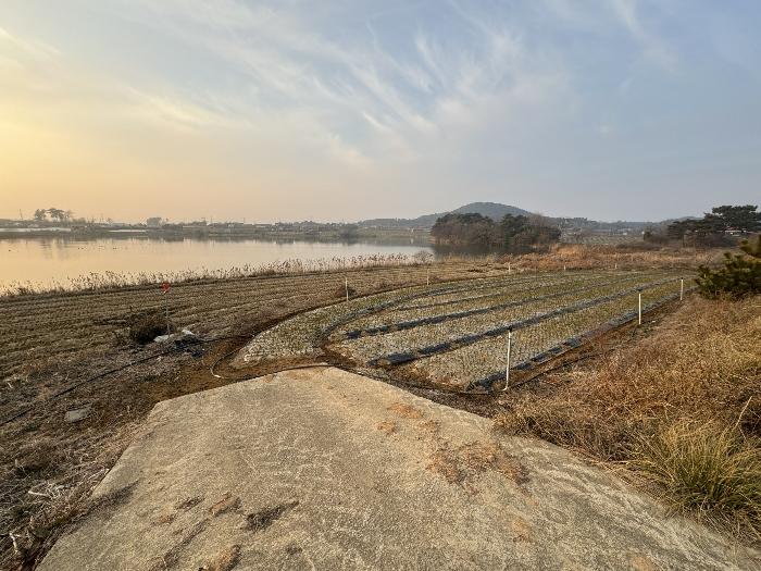 충청남도 서산시 부석면 칠전리 6-5 전 경매 사진 2