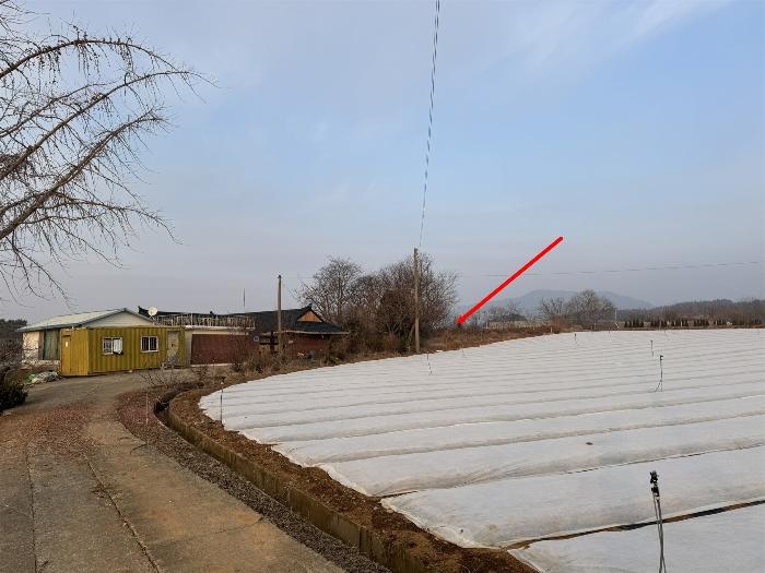 충청남도 서산시 부석면 칠전리 6-5 전 경매 사진 3