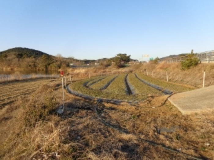충청남도 서산시 부석면 칠전리 6-5 전 경매 사진 8