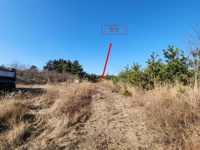 충청남도 서산시 대산읍 대로리 산141-35 임야 경매 사진 1