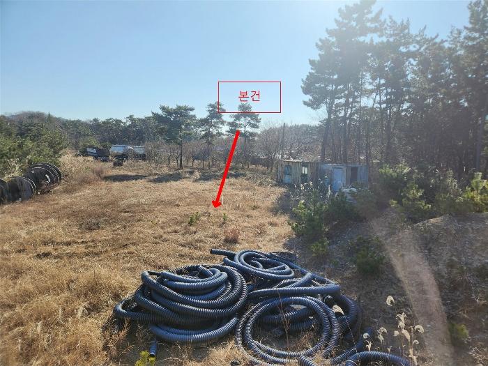 충청남도 서산시 대산읍 대로리 산141-35 임야 경매 사진 4
