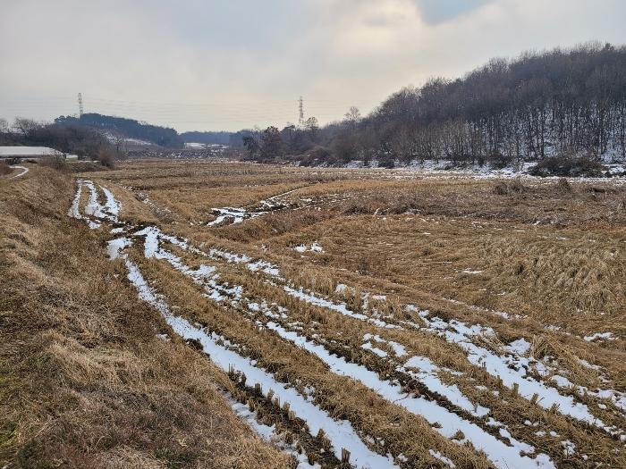 충청남도 당진시 송악읍 가학리 120 답 경매 사진 2